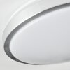 Sapioris Plafoniera LED Nichel opaco, Bianco, 1-Luce