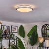 Sapioris Plafoniera LED Nichel opaco, Bianco, 1-Luce