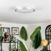 Sapioris Plafoniera LED Nichel opaco, Bianco, 1-Luce