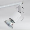 Gjedso Plafoniera, Faretto da soffitto LED Cromo, Bianco, 4-Luci