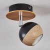 Haldor Plafoniera, Faretto da soffitto Marrone, Cromo, Nero, 1-Luce