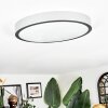 Kelan Plafoniera LED Argento, 1-Luce