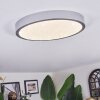 Kelan Plafoniera LED Argento, 1-Luce