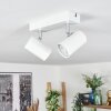 Gesteira Plafoniera, Faretto da soffitto Bianco, 2-Luci