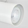 Gesteira Plafoniera, Faretto da soffitto Bianco, 2-Luci