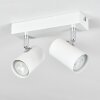 Gesteira Plafoniera, Faretto da soffitto Bianco, 2-Luci