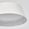 Falon Lampada da scrivania, Lampada da tavolo, Lampada da letture LED Bianco, 1-Luce