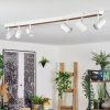 Gesteira Plafoniera, Faretto da soffitto Écru, Bianco, 6-Luci