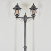 Lignac Lampione multibraccia, Illuminazione viale Nero, Argento, 2-Luci