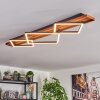 Pompu Plafoniera LED Marrone scuro, Nero, 1-Luce