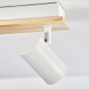 Gesteira Plafoniera, Faretto da soffitto Écru, Bianco, 6-Luci