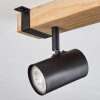 Storuma Lampada da terra LED Chiaro, 4-Luci