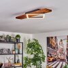 Pompu Lampada da terra, Lampada da tavolo LED Antracite, 4-Luci