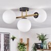 Gastor Plafoniera, Lampada a sfera 42 cm Oro, Nero, 3-Luci