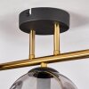 Gastor Plafoniera, Lampada a sfera 42 cm Oro, Nero, 3-Luci