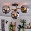 Gastor Plafoniera, Lampada a sfera 42 cm Oro, Nero, 3-Luci