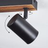 Gesteira Plafoniera, Faretto da soffitto Legno scuro, Nero, 3-Luci