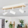 Gesteira Plafoniera, Faretto da soffitto Legno chiaro, Bianco, 3-Luci