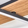 Hadel Plafoniera LED Aspetto del legno, Nero, 1-Luce