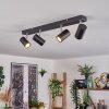 Gesteira Plafoniera, Faretto da soffitto Cromo, Nero, 4-Luci