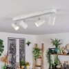 Gesteira Plafoniera, Lampadario a sospensione, Lampada da terra LED Legno scuro, 1-Luce