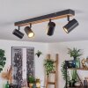 Gesteira Plafoniera, Faretto da soffitto Legno scuro, Nero, 4-Luci