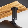 Gesteira Plafoniera, Faretto da soffitto Legno scuro, Nero, 4-Luci