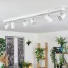 Gesteira Plafoniera, Faretto da soffitto Cromo, Bianco, 6-Luci