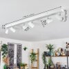 Gesteira Plafoniera, Faretto da soffitto Cromo, Bianco, 6-Luci