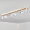 Gesteira Plafoniera, Faretto da soffitto Écru, Bianco, 6-Luci