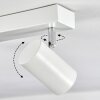 Gesteira Plafoniera, Faretto da soffitto Cromo, Bianco, 6-Luci