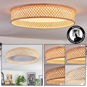 Barroco Plafoniera LED Écru, 1-Luce