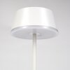 Romdrup Lampada da tavolo per esterno, Lampada da tavolo LED Bianco, 1-Luce