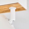 Gesteira Plafoniera, Faretto da soffitto Écru, Bianco, 8-Luci