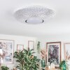 Curin Plafoniera LED Bianco, 1-Luce, Telecomando