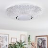 Curin Plafoniera LED Bianco, 1-Luce, Telecomando