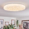 Dacen Plafoniera LED Bianco, 1-Luce, Telecomando