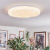 Dacen Plafoniera LED Bianco, 1-Luce, Telecomando