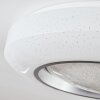 Dayen Plafoniera LED Argento, 1-Luce, Telecomando