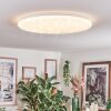 Junor Plafoniera LED Bianco, 1-Luce, Telecomando