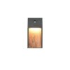 Illuminazione Trio Leuchten SALMON Applique LED Legno chiaro, 1-Luce, Sensori di movimento