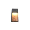 Illuminazione Trio Leuchten SALMON Applique LED Legno chiaro, 1-Luce, Sensori di movimento