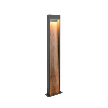 Illuminazione Trio Leuchten SALMON Lampada da terra per esterno LED Legno chiaro, 1-Luce