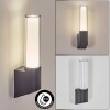 Isara Lampada da parete per esterno, Applique LED Antracite, 1-Luce