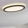 Qadir Plafoniera da esterno, Plafoniera LED Bianco, 1-Luce