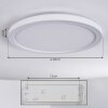 Qadir Plafoniera da esterno, Plafoniera LED Bianco, 1-Luce