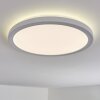 Qadir Plafoniera da esterno, Plafoniera LED Bianco, 1-Luce