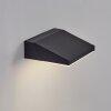 Xaden Lampada da parete per esterno, Applique LED Nero, 1-Luce