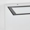 Lanor Lampada da parete per esterno, Lampade Up & Down, Applique LED Bianco, 1-Luce