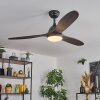 Mosstena Plafoniera, Lampada con ventilatore LED Legno scuro, Nero, 1-Luce, Telecomando